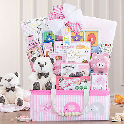 - Bundle of Joy: Baby Girl Gift Basket - Gift basket at TFC&H Co.