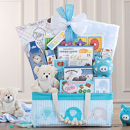 - Bundle of Joy: Baby Boy Gift Basket - Gift basket at TFC&H Co.