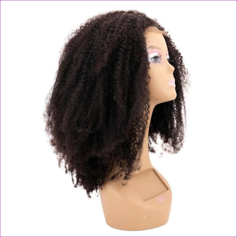 - Afro Kinky Closure Wig - wig at TFC&H Co.