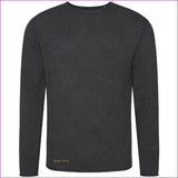 Charcoal - Crowned Dreadz Arenal Regen Sweater - mens sweatshirt at TFC&H Co.
