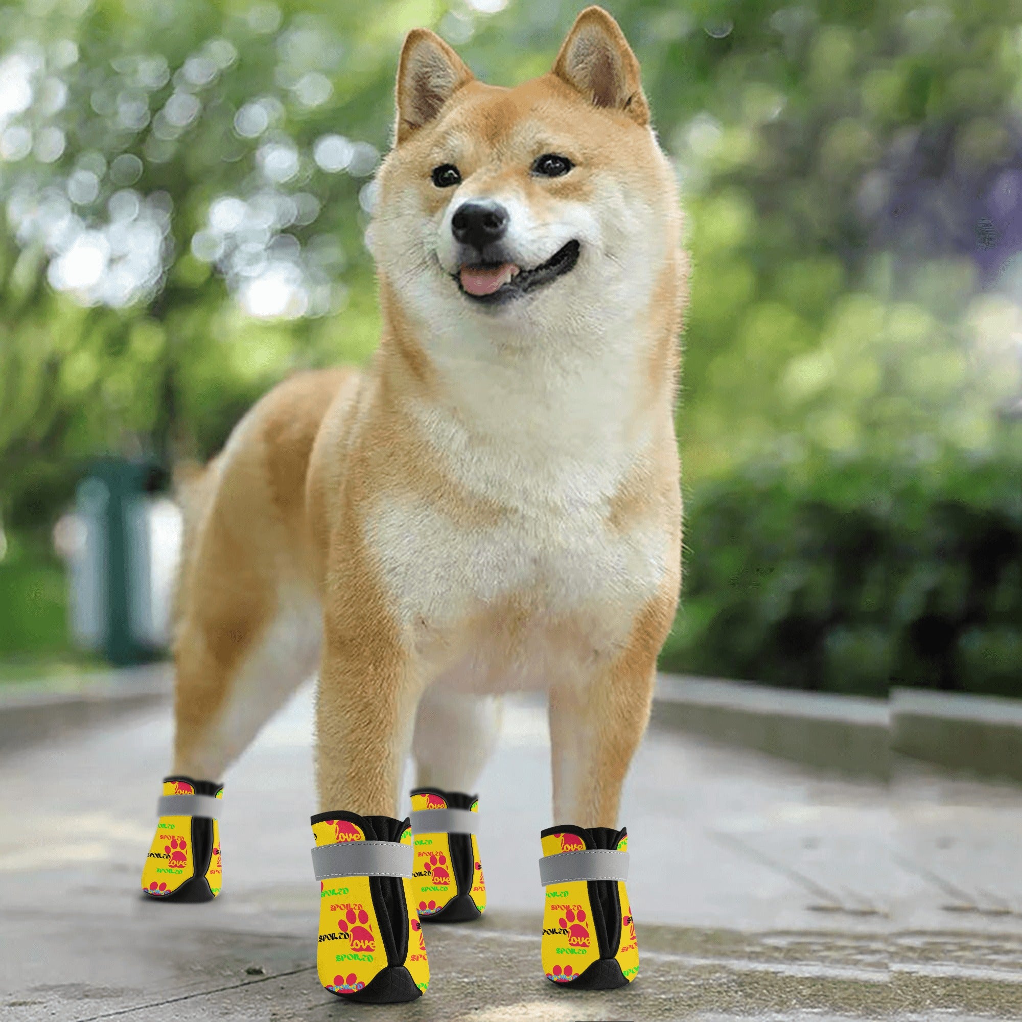 3 - SPOILED PETS NON SLIP DOG SOCKS - YELLOW - Spoiled Pets Non Slip Dog Socks - pet socks at TFC&H Co.