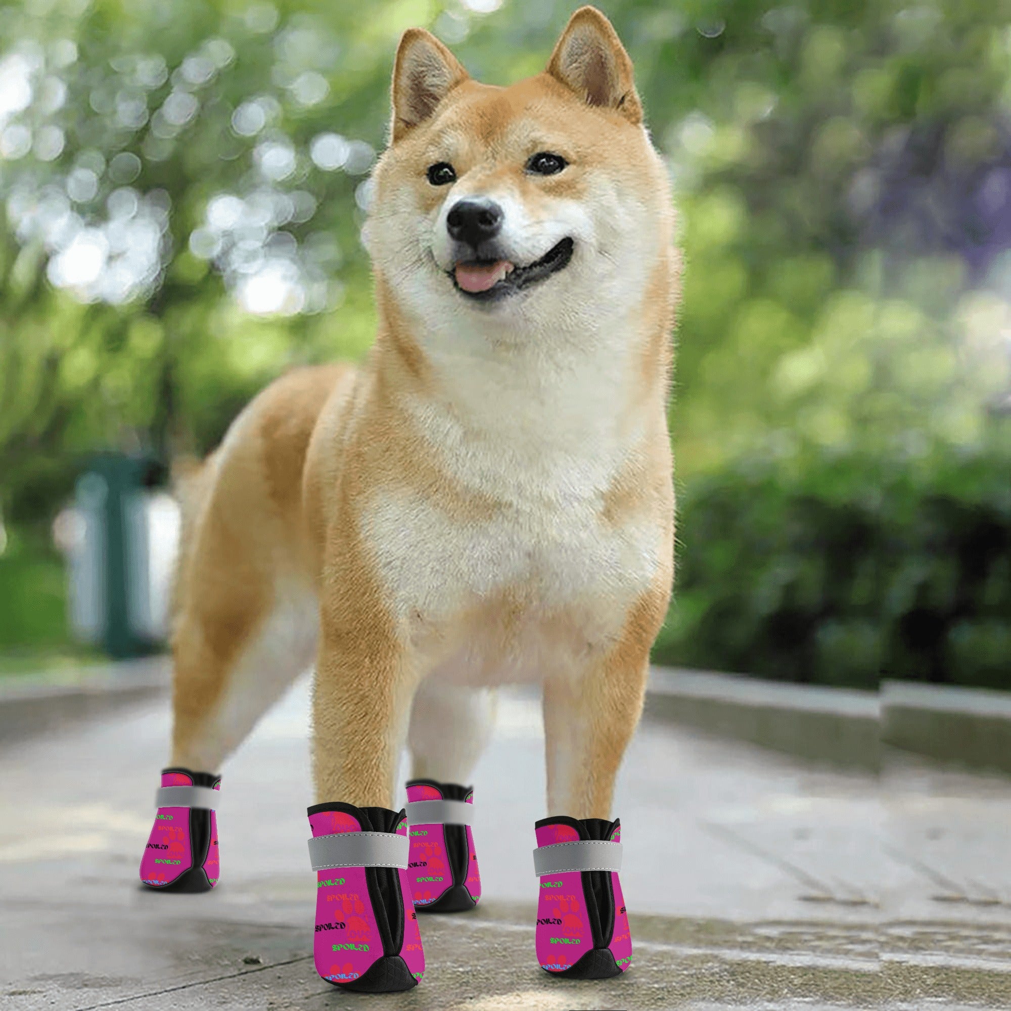 1 - SPOILED PETS NON SLIP DOG SOCKS - PINK Spoiled Pets Non Slip Dog Socks - pet socks at TFC&H Co.