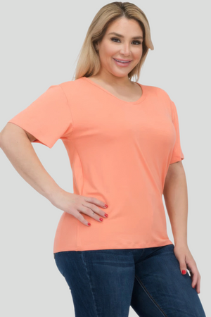 Flamingo - Plus Size Basic Short Sleeve T-shirt - womens t-shirt at TFC&H Co.