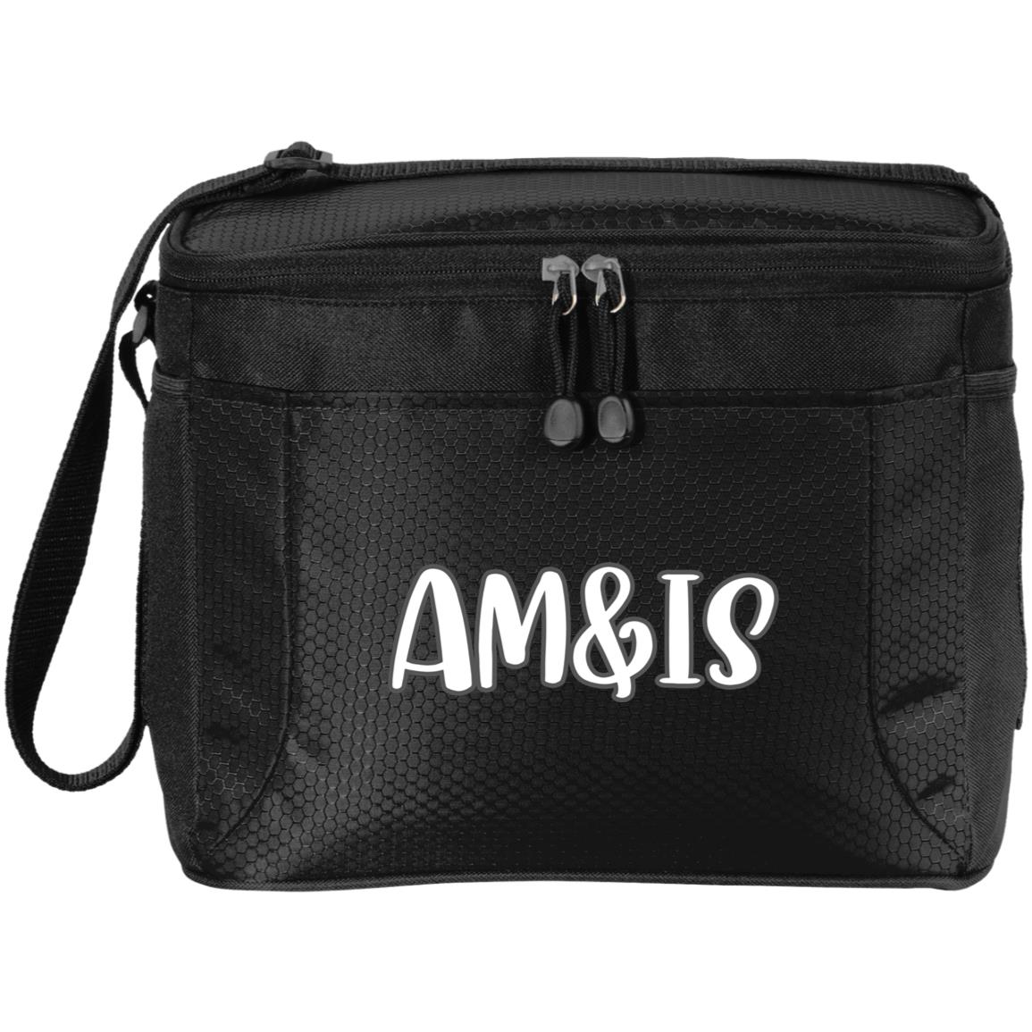 BLACK/BLACK ONE SIZE AM&IS Activewear 12-Pack Cooler - lunch bag at TFC&H Co.