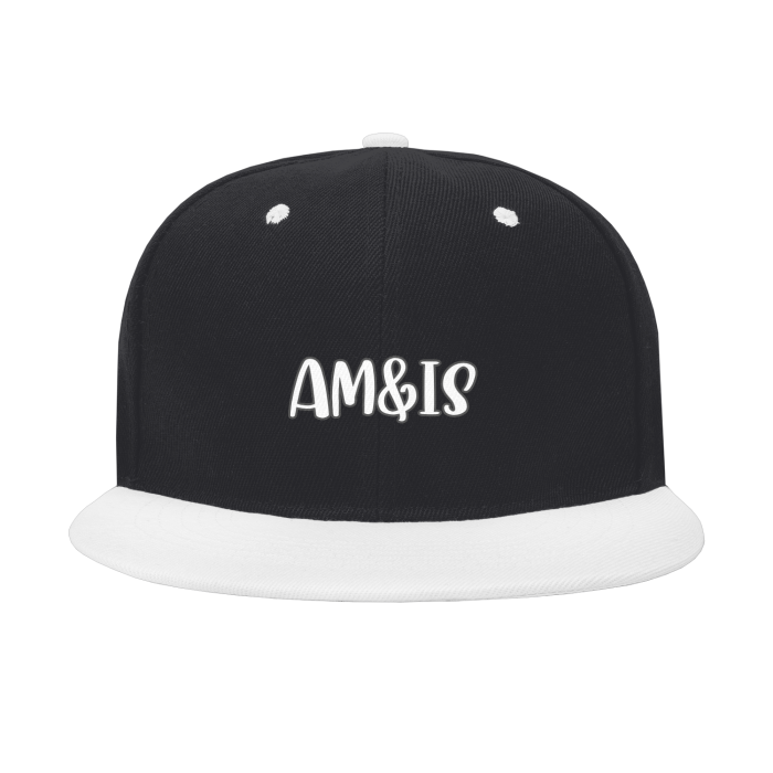 BLACK BEAUTY ONE SIZE - Am&Is Colorblock Snapback - hat at TFC&H Co.