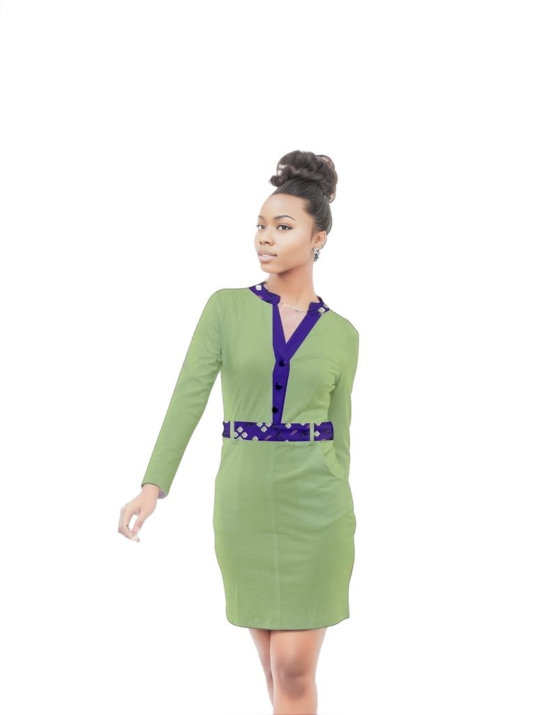 green Sig Button Long Sleeve Dress - 2 variations - women's dress at TFC&H Co.